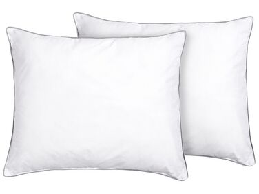 Oreiller Confort Plus – 100% Coton | Garnissage Fibre Siliconée 900g